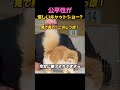 猫に甘すぎる審査員ｗ