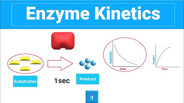 Enzyme Kinetics (Vmax, Kcat, Km and more)