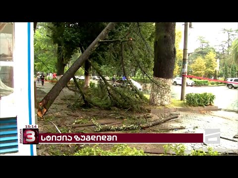 ძლიერი სტიქიის შედეგები ზუგდიდში