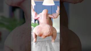 The Twurkey after that first cup of coffee #youtubeshorts #dance #shakira
The Twurkey after that first cup of coffee #youtubeshorts #dance #shakira The Twurkey after that first cup of coffee #youtubeshorts #dance #shakira