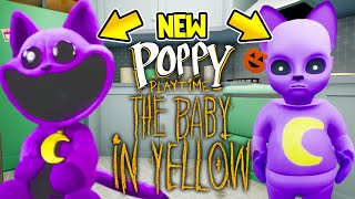 Playing as*NEW* CatNap VS Pomni! Baby In Yellow VS Poppy Playtime