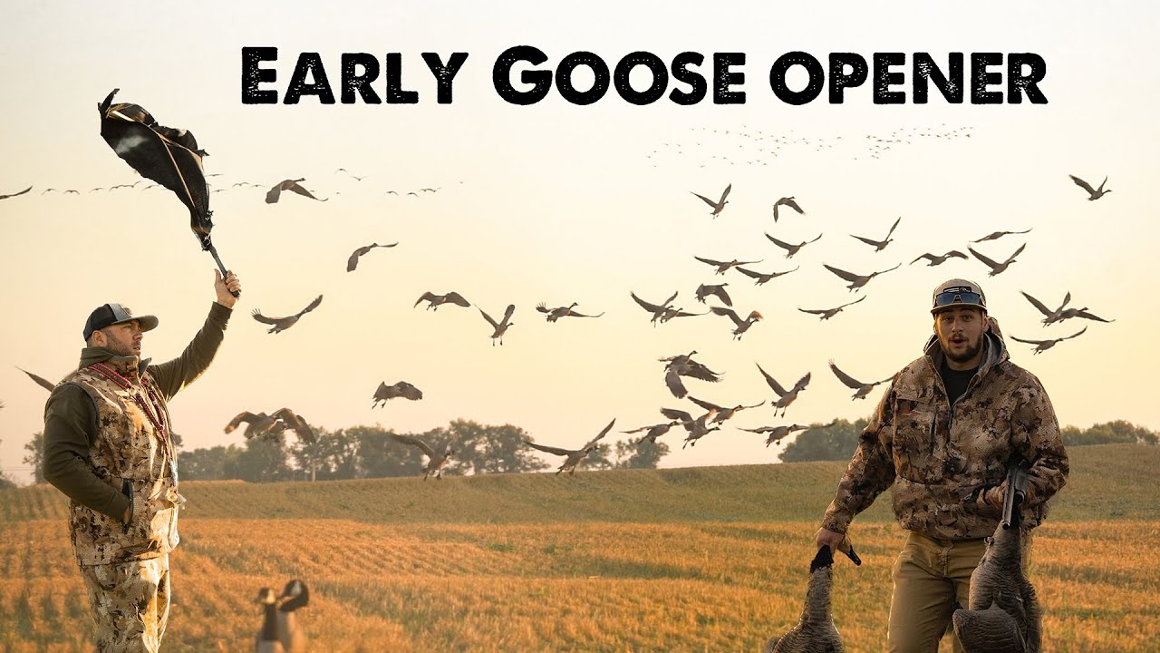 Wisconsin Early Goose Opener 30+ BIRDS IN 25 MINUTES!! YouTube