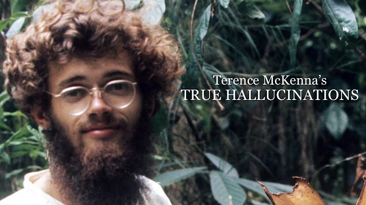 Terence McKenna's True Hallucinations (Full Movie)...