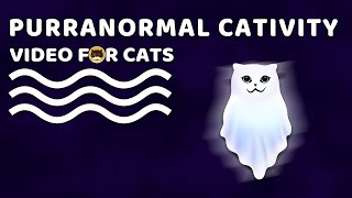 CAT GAMES  Purranormal Cativity. Happy Halloween! CATFLIX.