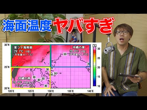 過去最高を記録！沖縄のサンゴが限界