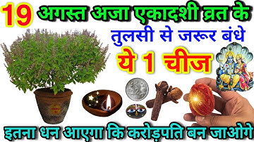 19 अगस्त अजा एकादशी के दिन तुलसी से बांधे ये 1 चीज इतना धन आएगा कि करोड़पति बन जाओगे ekadashi