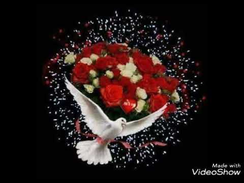 اصالحك ومالو لطيفة