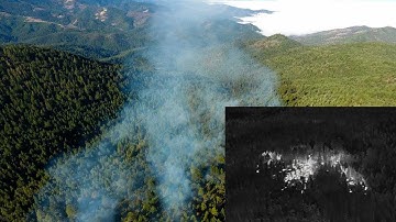 Forest Fire Monitoring with Drone