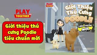 PLAY TOGETHER VNG | HÉ LỘ HÌNH ẢNH THÚ CƯNG POODLE TIÊU CHUẨN SẮP ĐƯỢC RA MẮT TẠI PLAY TOGETHER