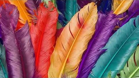 Top 10 Green Screen Subscribe Button With Sound Effects