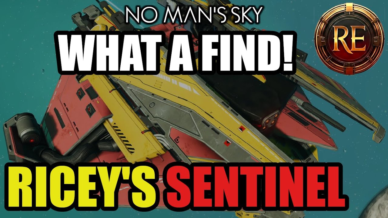 RICEY'S SENTINEL | What a Find! | No Man's Sky