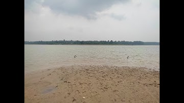 Câu cá hồ đá bàn tân uyên bình dương mùa covid