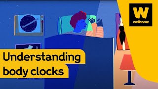 How your body clock rules your life | Wellcome