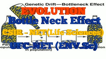 EVOLUTION- BOTTLE NECK EFFECT(CSIR-NET LIFE SCIENCES)