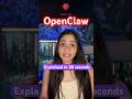 What is OpenClaw? Explained in 30 seconds