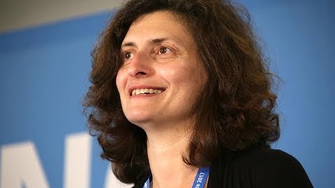 Brain and Artificial Intelligence - Irina Rish, IBM Watson