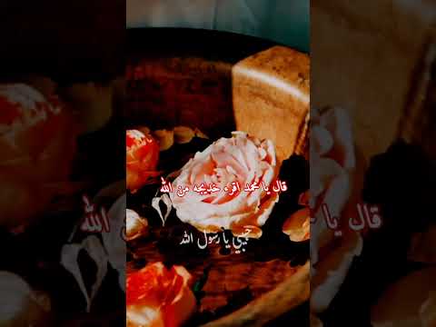 أول مره ينزل جبريل ما ينزل قرآن ما معه ايات اني أتيت أخبرك ان الله يقرء خديجه السلام من ربنا