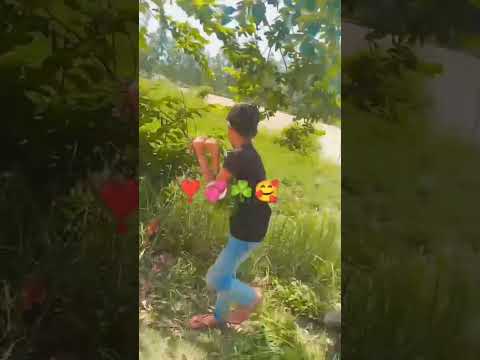dil me mobhat ka rang song #masti#viral #video👍