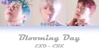 EXO-CBX(첸백시) - Blooming Day (花요일) Color Coded Lyrics