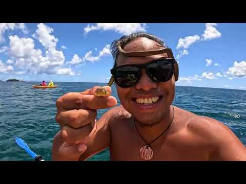 Swimming with snakes: The backyard science of an invasive species in Guam