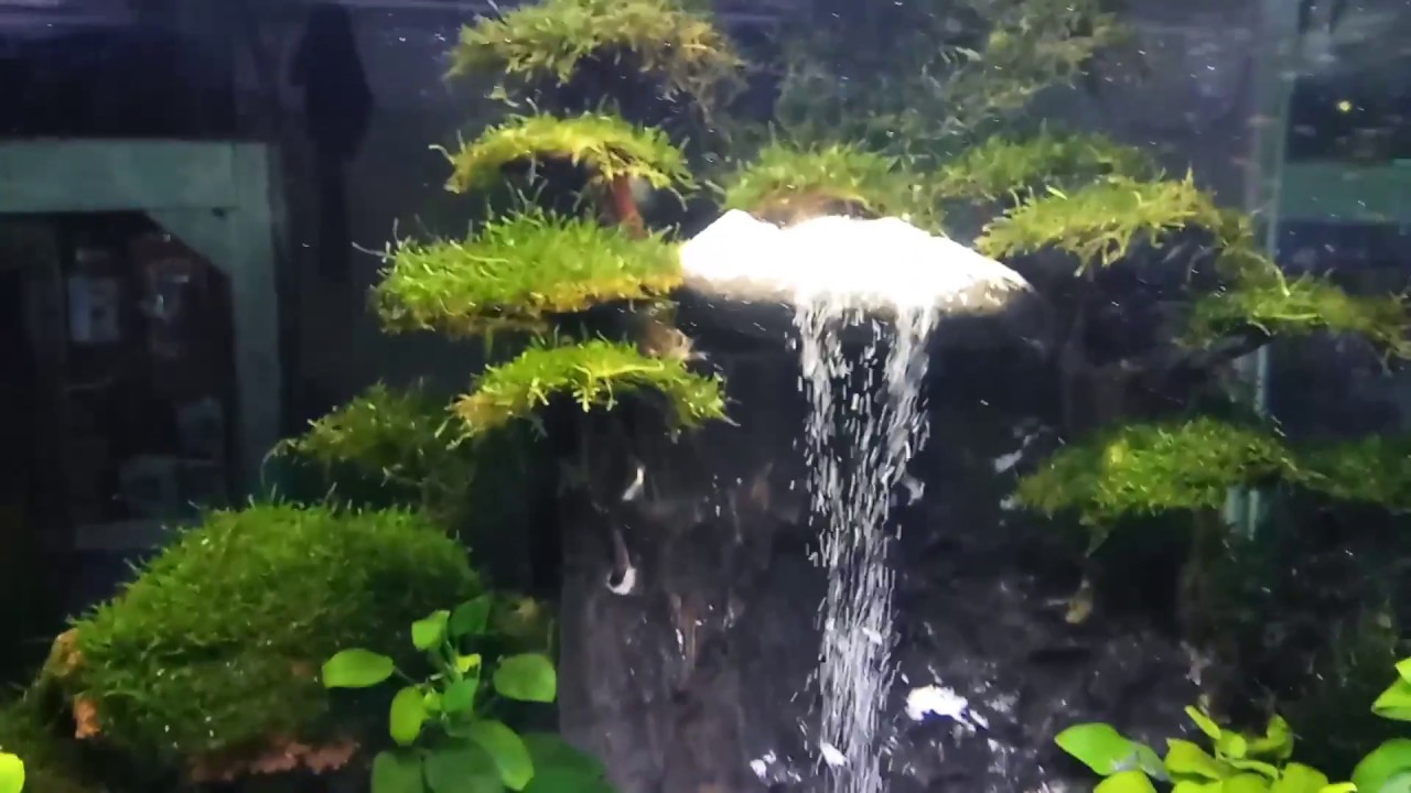  AQUASCAPE  AIR  TERJUN PASIR YouTube