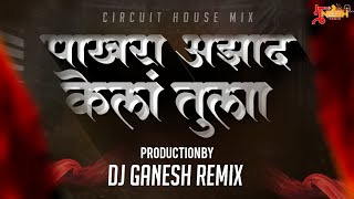 Pakhra Azad Kel Tula Dj Song | पाखरा आझाद केलं तुला | Circuit House Mix
