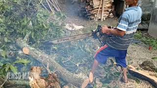 Beda❓❓❓Performa Jenso STIHL Lebih Joss..