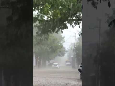 Fast Rain fall in Kashmir 😢😢