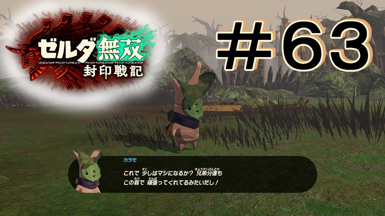 故郷のため [ゼルダ無双 封印戦記] ＃６３＊ネタバレ注