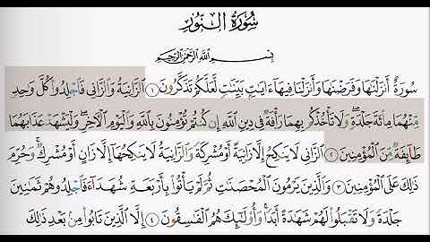 (24) سورة النور | شيخ الزين محمد احمد