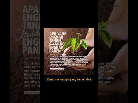 Kamu Menuai Apa Yang Kamu Tabur I quates kata mutiara #shortsvideo