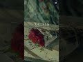 نور على نور❤️تلاوة روحانية جميلة ❤️ لفضيلة الشيخ القارئ #ماهر_المعيقلي ❤️
