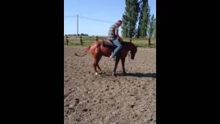 Video Zip 20150607 200033