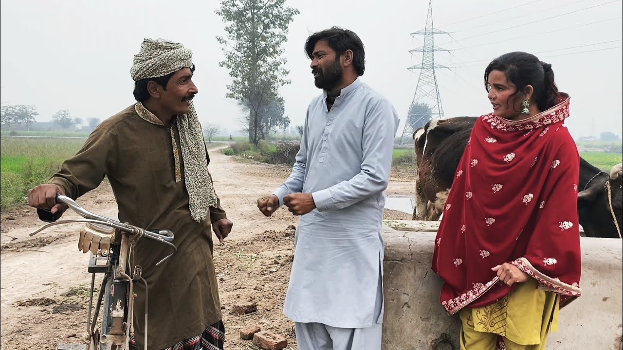 MANGWE KAPRE//funny video top comedy video ASIF TALLU MAHNOOR Tara Dr WAJID 