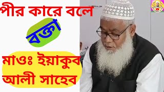 পীর কারে বলে বক্তা মাওঃ ইয়াকুব আলী সাহেব।PIR KARE BOLE