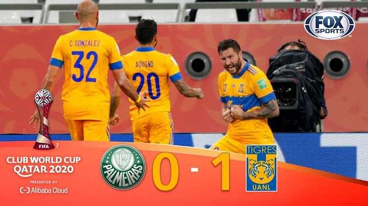 ¡TIGRES HISTÓRICO! ¡🐯 FINALISTA! | PALMEIRAS 0-1 TIGRES | Mundial
