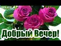 КРАСИВЫЕ ПЕСНИ ОБО ВСЁМ ...КОРОЛЕВА МОЯ...ДОБРЫЙ ВЕЧЕР!