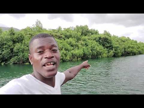 strolling on the dangerous crocodile infested water