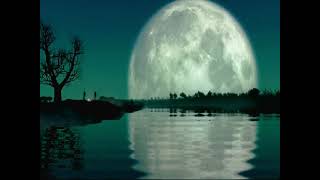 Yasin Aydin - Kim O Sakallı Adam