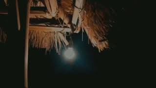 Figuranha S Dan Terjemahan 2021