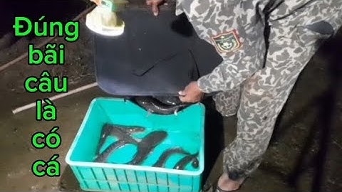 Săn cá lóc đen - Trời mưa cá lại ăn !