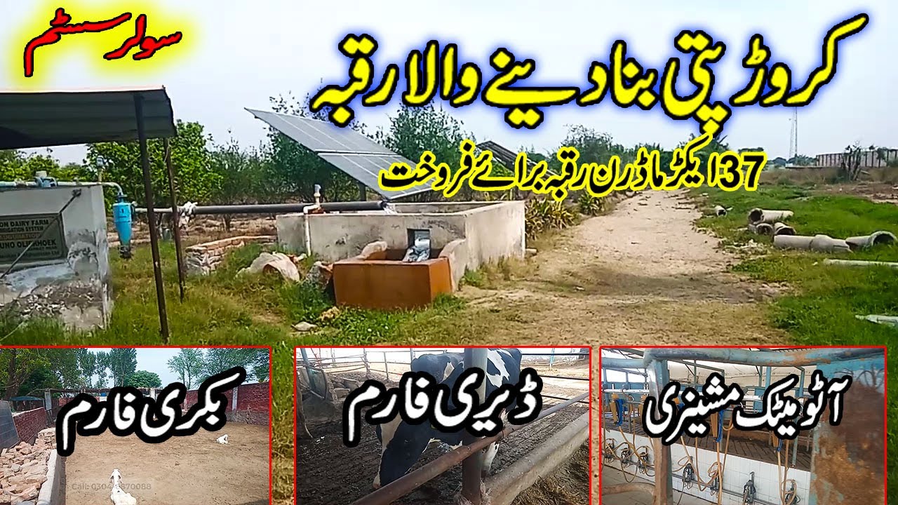 37 ACRE Agriculture Land For Sale In Punjab Pakistan YouTube