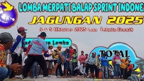 Lomba Merpati Balap Sprint Indonesia jagungan 2025 total hadiah 10 juta lapangan tebalo Gresik 