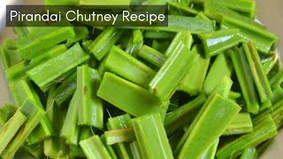 Pirandai Thuvaiyal recipe | Pirandai Chutney Recipe | Adamant Creeper Chutney | Chutney Recipe | KGS
