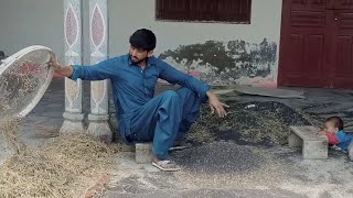 Gopi Sarson Ko Saaf Karne Ka Tarika