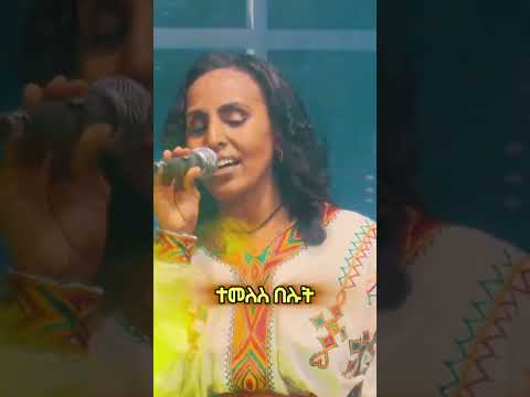 Yezina Negash Habesha Duet Musiclyrics Songlyrics Love Lyrics Lyricvideo Ethiopianmusic