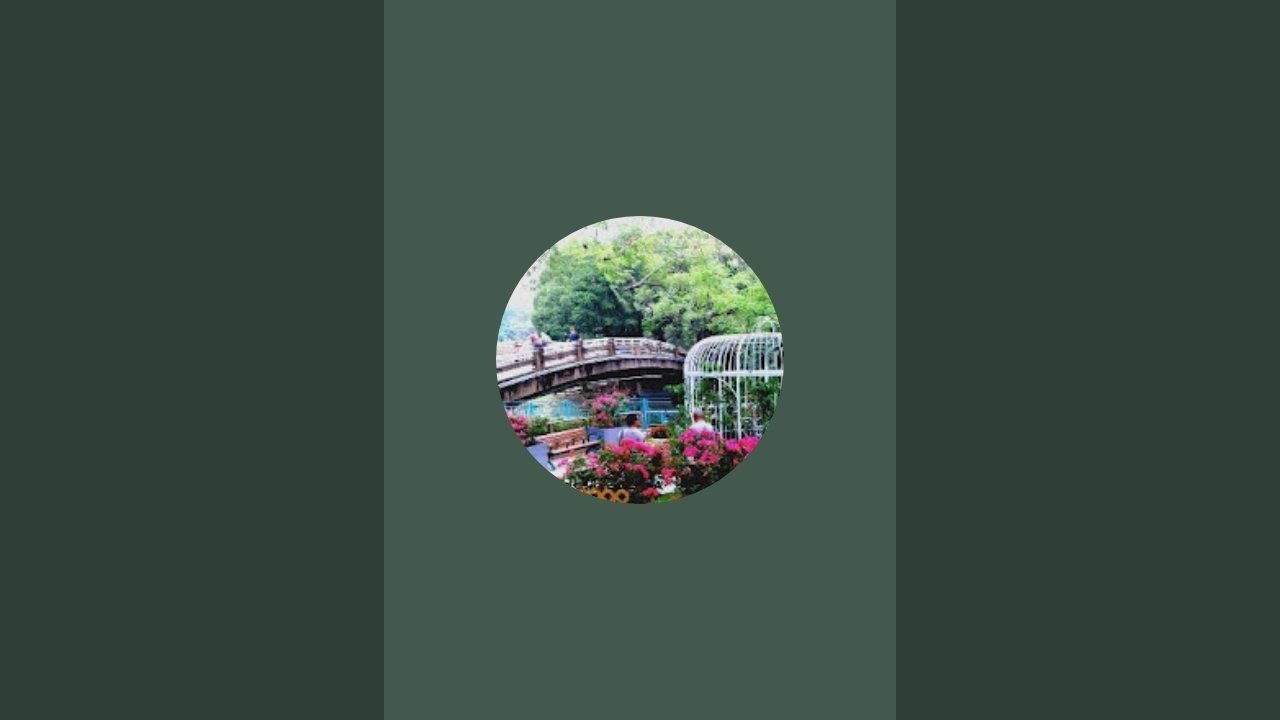 「思詩cc乐」正在直播！