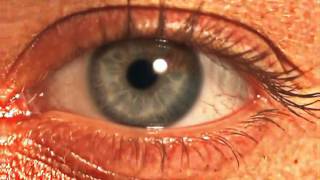 Pixelan Creativease Blurpro Video Blur Effects Plugin