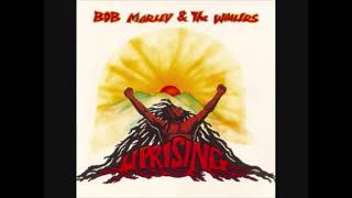 5. Work - Bob Marley (Uprising)(VID)