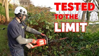 How Milwaukee's new Garden OPE tools stack up against an overgrown hedge? by Premier Lawns 1,469 views 2 months ago 11 minutes, 6 seconds